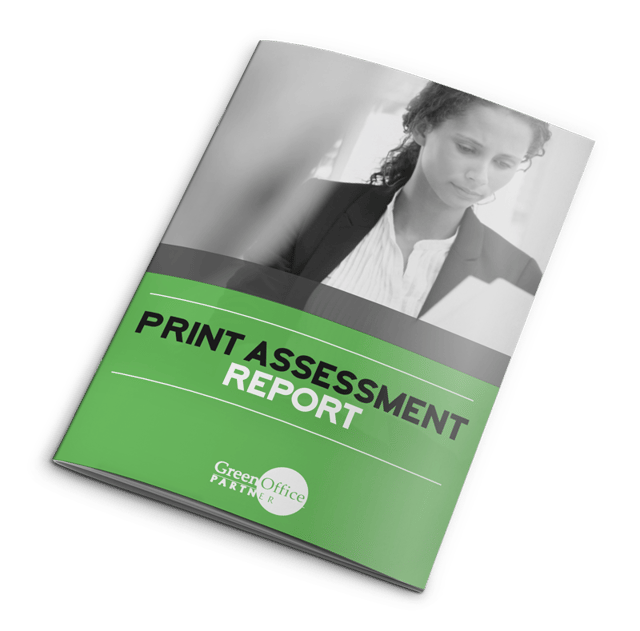 print-assessment-report.png